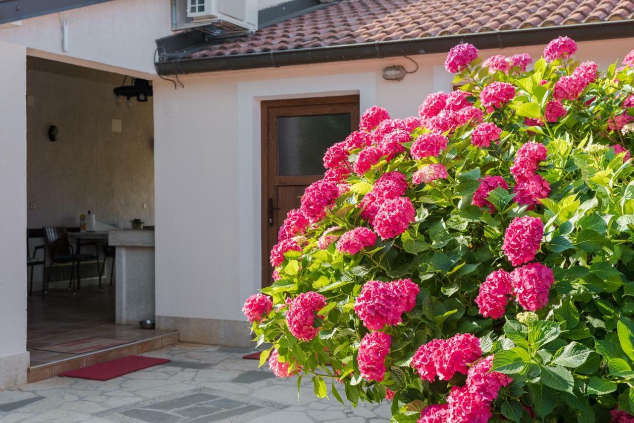 B&B Carmela Umag Exterior photo